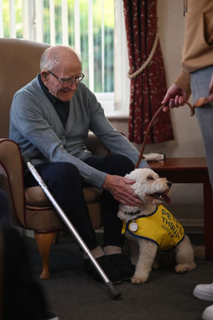 Elderly care homes funding