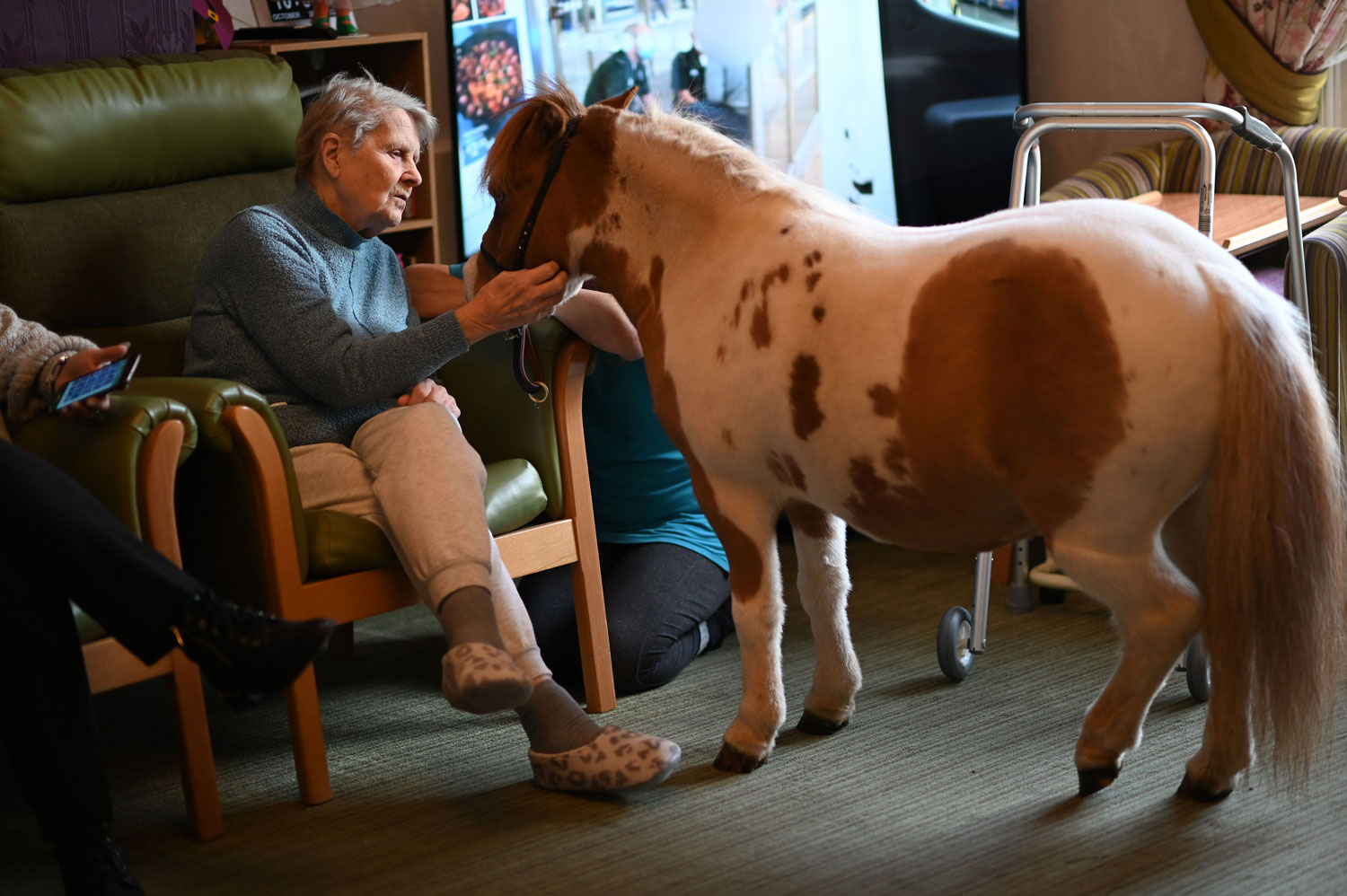 care homes near york