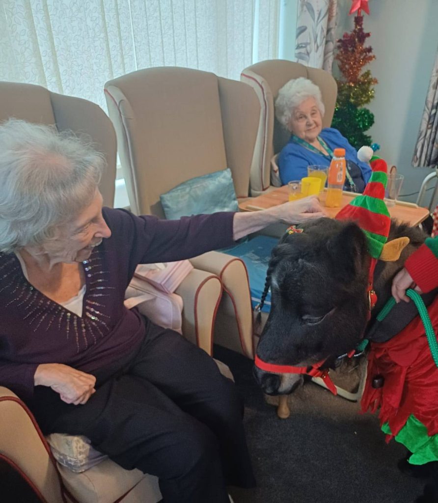 Christmas activities in a care home