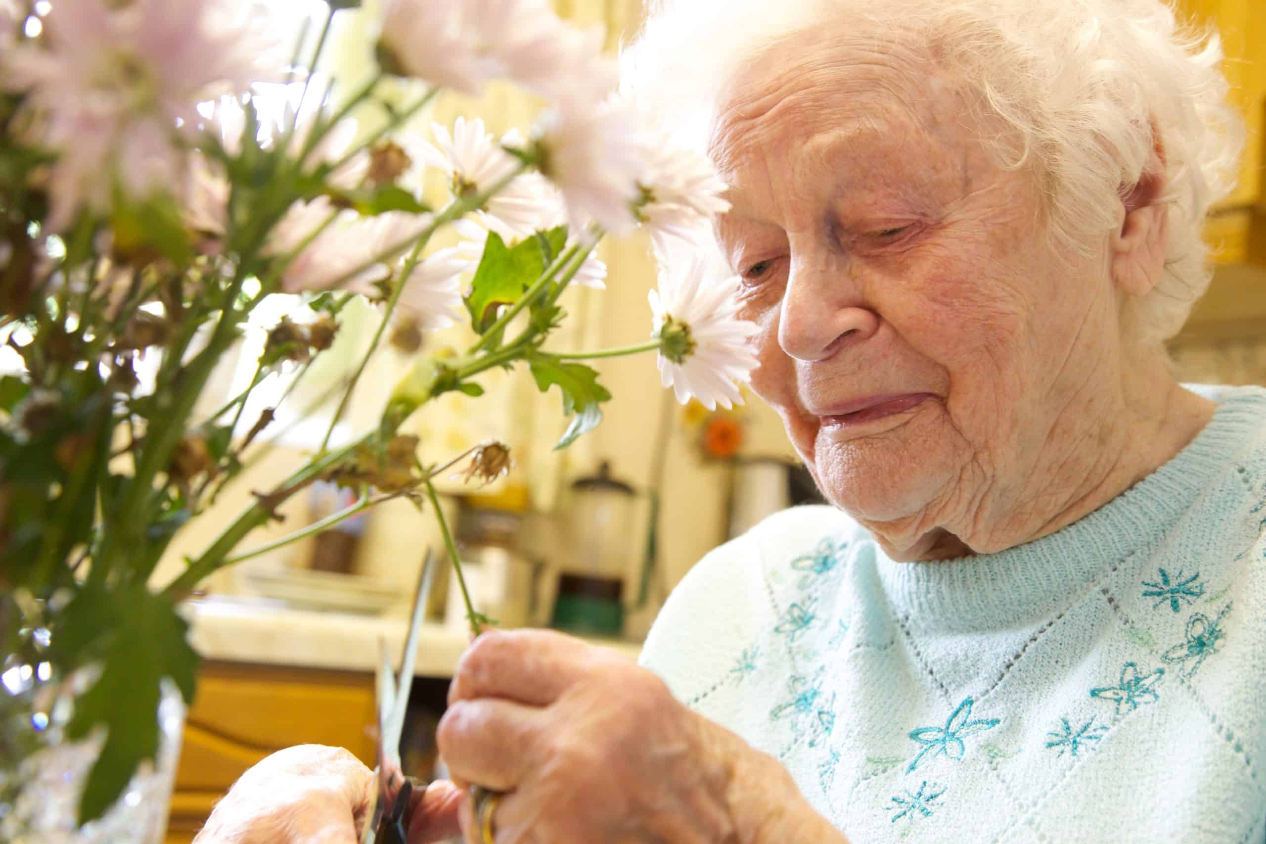 Elderly woman arranges a vase of flowers